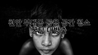 🧹 천안 부대동 공용 공간 청소 꿀팁 대방출! ✨