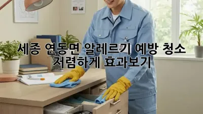 세종 연동면 알레르기 예방 청소: 저렴하게 효과보기
